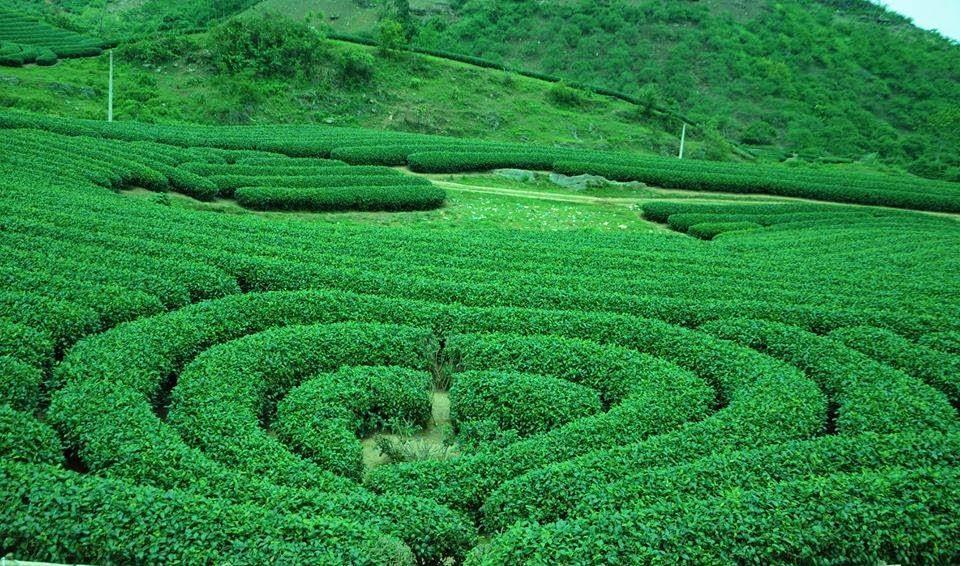 Green Hotel Moc Chau Εξωτερικό φωτογραφία